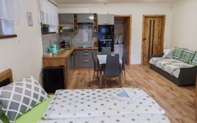 Apartment  Harrachov