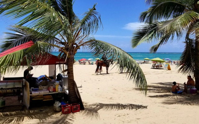 Coral Beach