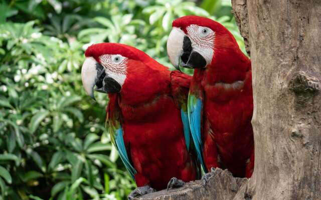 Campanile Limoges Nord