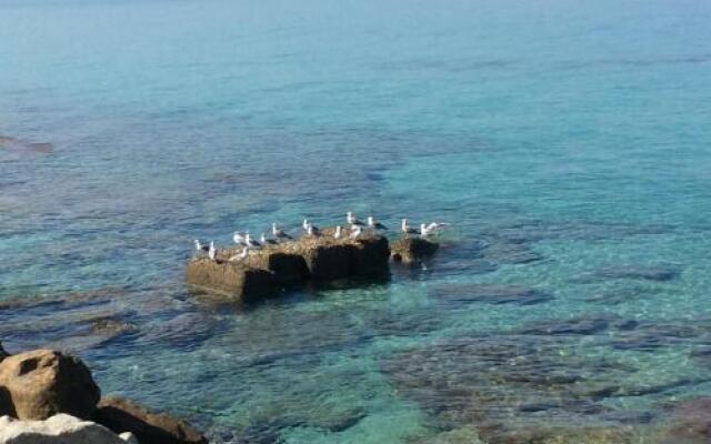 Marina Holiday Home