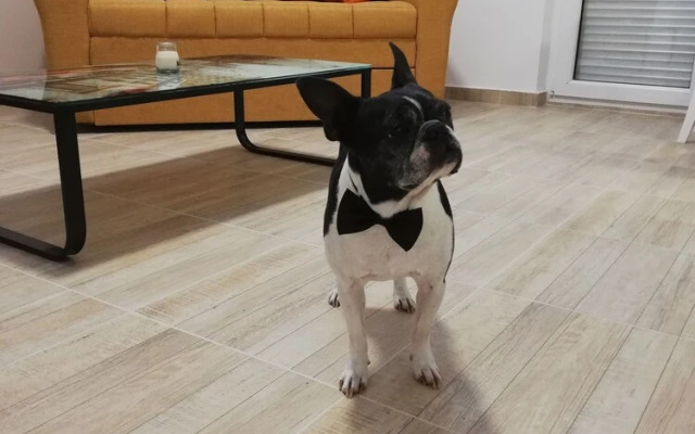 Airport View Apartments