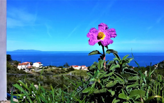 Appartamento Nature Il Colle