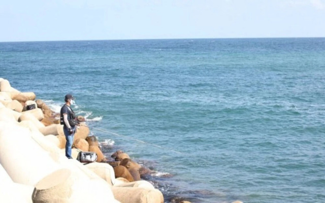 Yeongdeok Gaemitongkku Pension