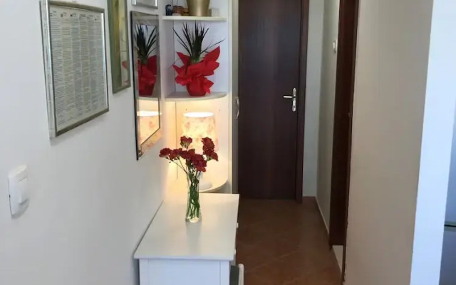 Apartment Vinka