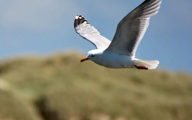 6 Person Holiday Home in Hemmet-by Traum