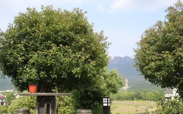 Wujia Bieyuan Homestay