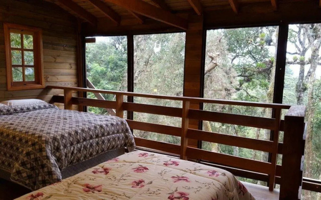 Chalé dos Tucanos- Parede de vidro com linda vista