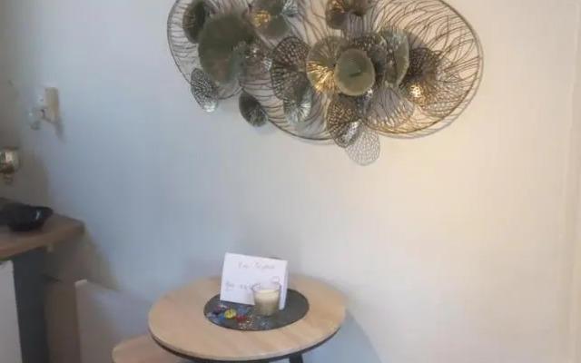 Studio promenade bord de Seine Rouen