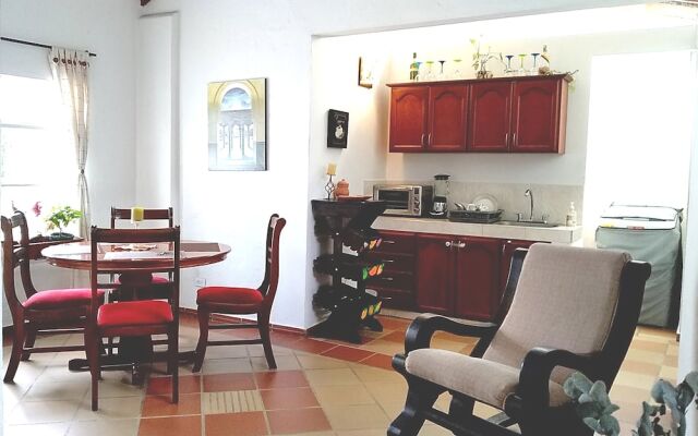 Gourmet & Cultural San Antonio