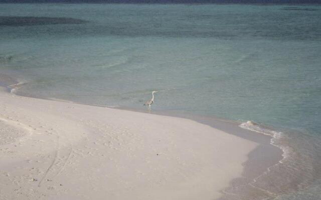 Fulidhoo Laperla Guesthouse