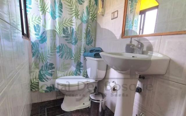 Hostal Del Bosque Temuco