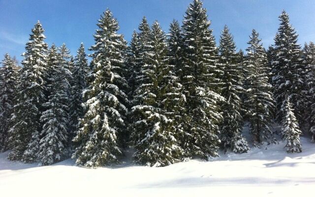 Alpenvilla Berchtesgaden