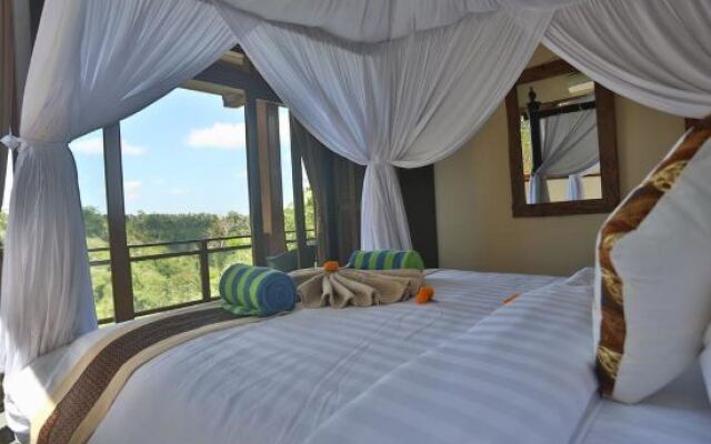 Bali Ubud Villa View