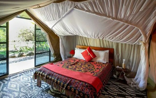 Punda Milias Nakuru Camp