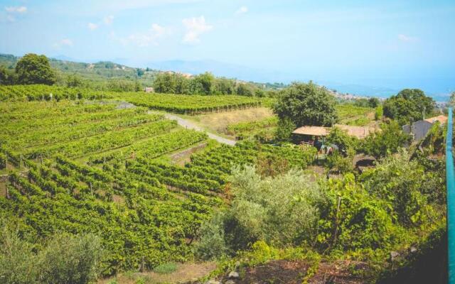 Agriturismo Le Case Del Merlo