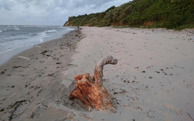 Gemütliches Apartment in Strandnähe