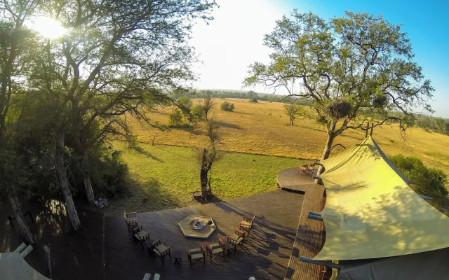 Rhino Walking Safaris