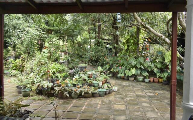 Sigiri Rock Side Home Stay