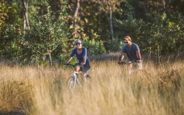 Jamtara Wilderness Camp