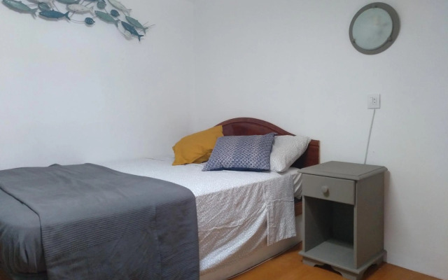 Escapada a l'Estartit - Argonavis