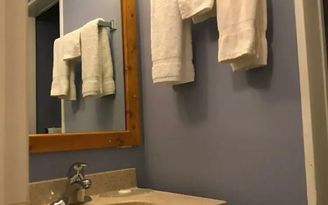 The little chalet motel