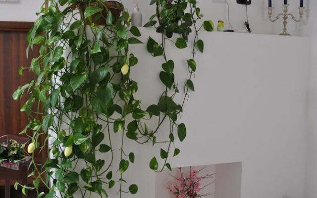 B&B Corte San Martino