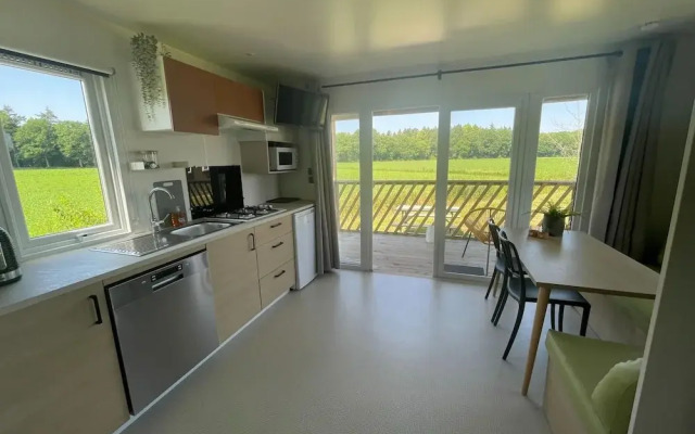 Lovely Chalet in Schoonloo With Patio