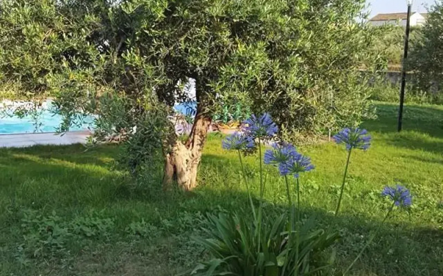 Le case di Anna e Carla