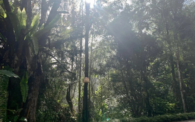 The Antler Silverpark Fraser's Hill