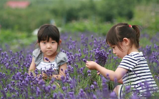 Agri in Holiday