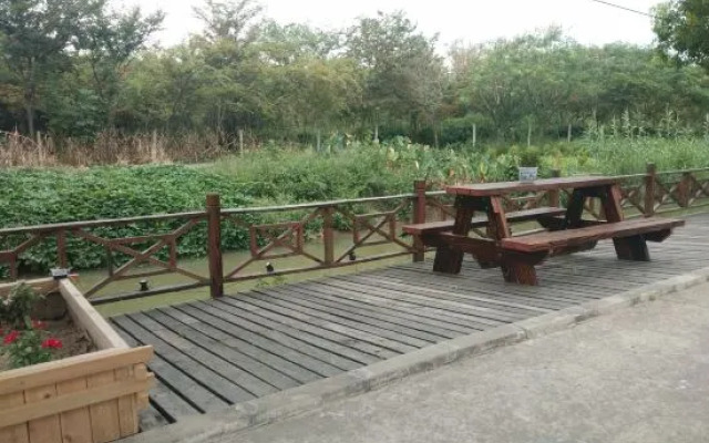 Shanghai Seaside Guest Homestay