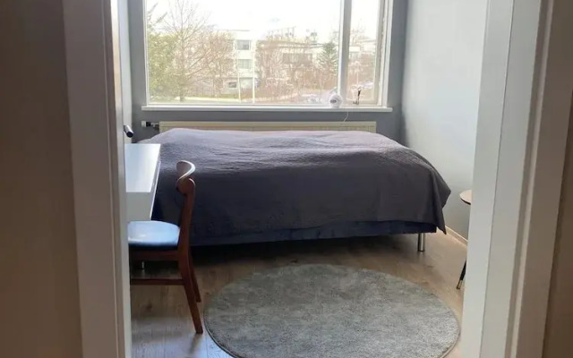 Bright and Spacious 2 Bedroom Apartment in Rvk