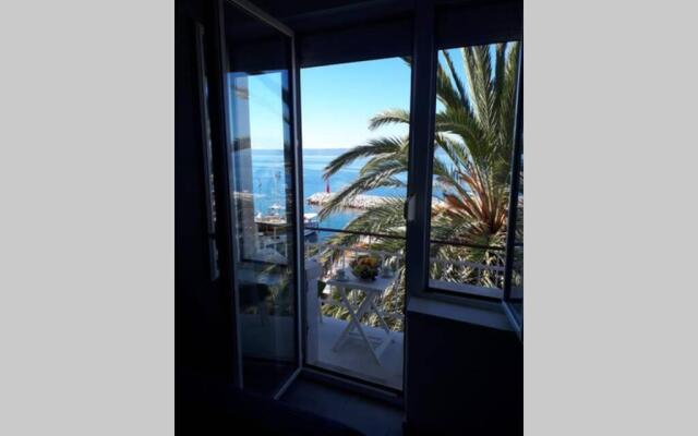 Palm tree studio, Podgora