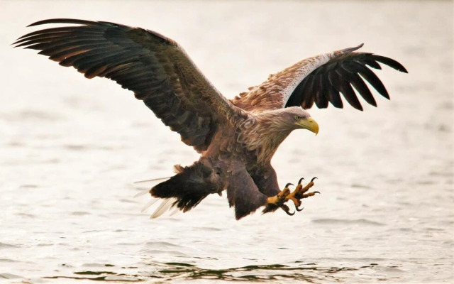 Hotel Altes Zollhaus