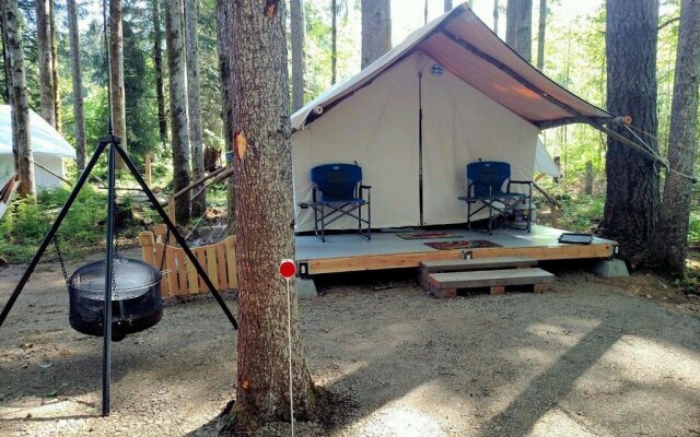 Hoh Rainforest Resort