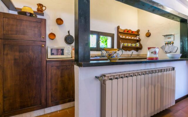 Bardeggiano - Caterina 4 (COL247)