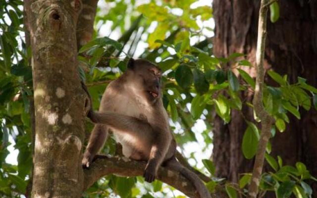 Tawan Bar and Bungalow