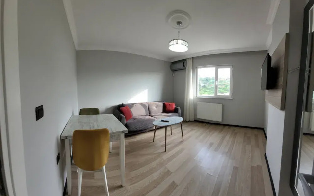 Alissa Suite