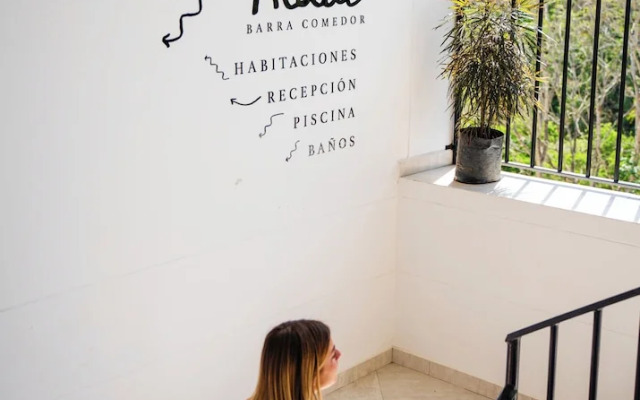 Trip Monkey del Río