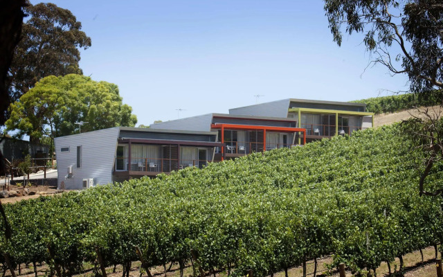 Longview Vineyard