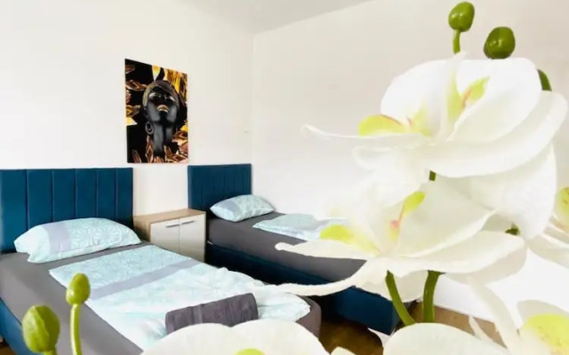 Spacious 4BR for 15 & 15 Min to Danube