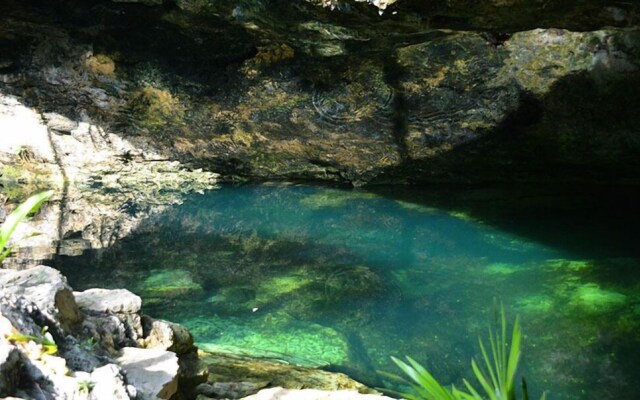 Cenote and Villas BalamHa - Akumal