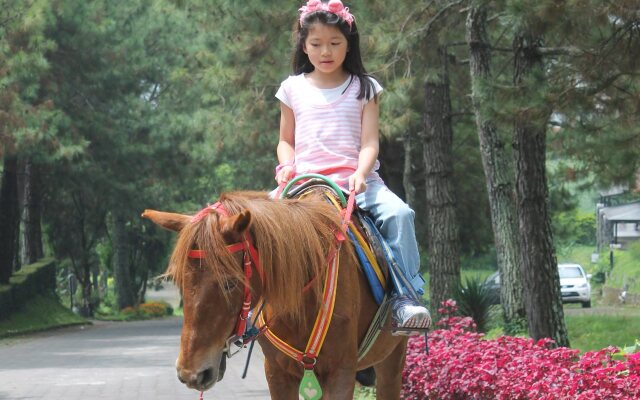 Maple House by Villa Istana Bunga