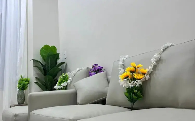 New royai studio