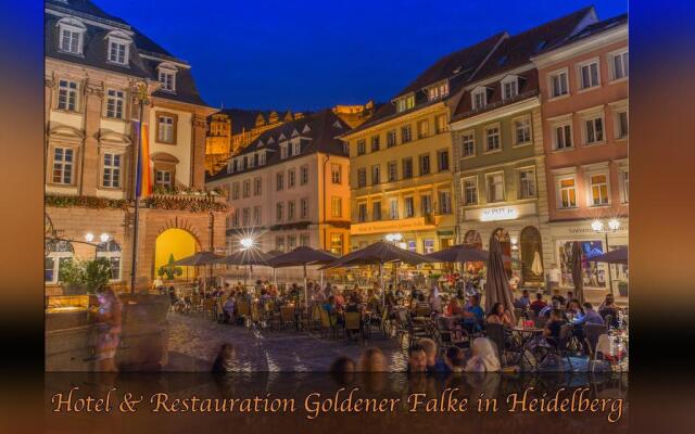 Goldener Falke