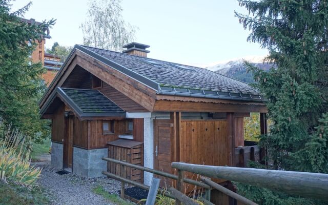 Individual Chalet, Near the Center & 200m from the Slopes