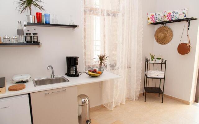 17 Flats and Roof Garden