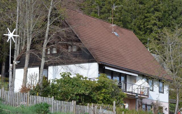 Scenic Apartment in Lenzkirch with Bikes, Balcony