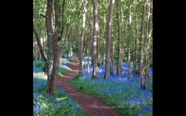 Shocarjen House B & B