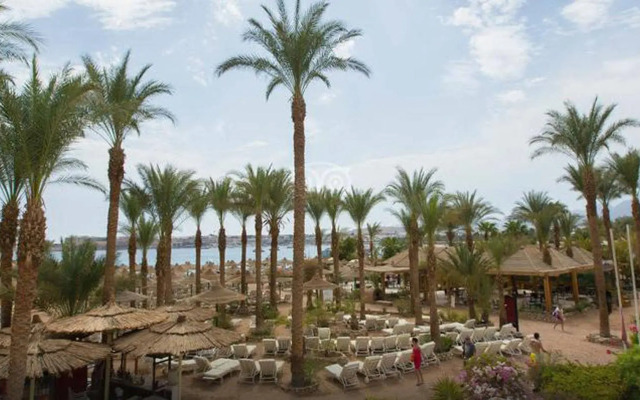 Oonas Dive Club